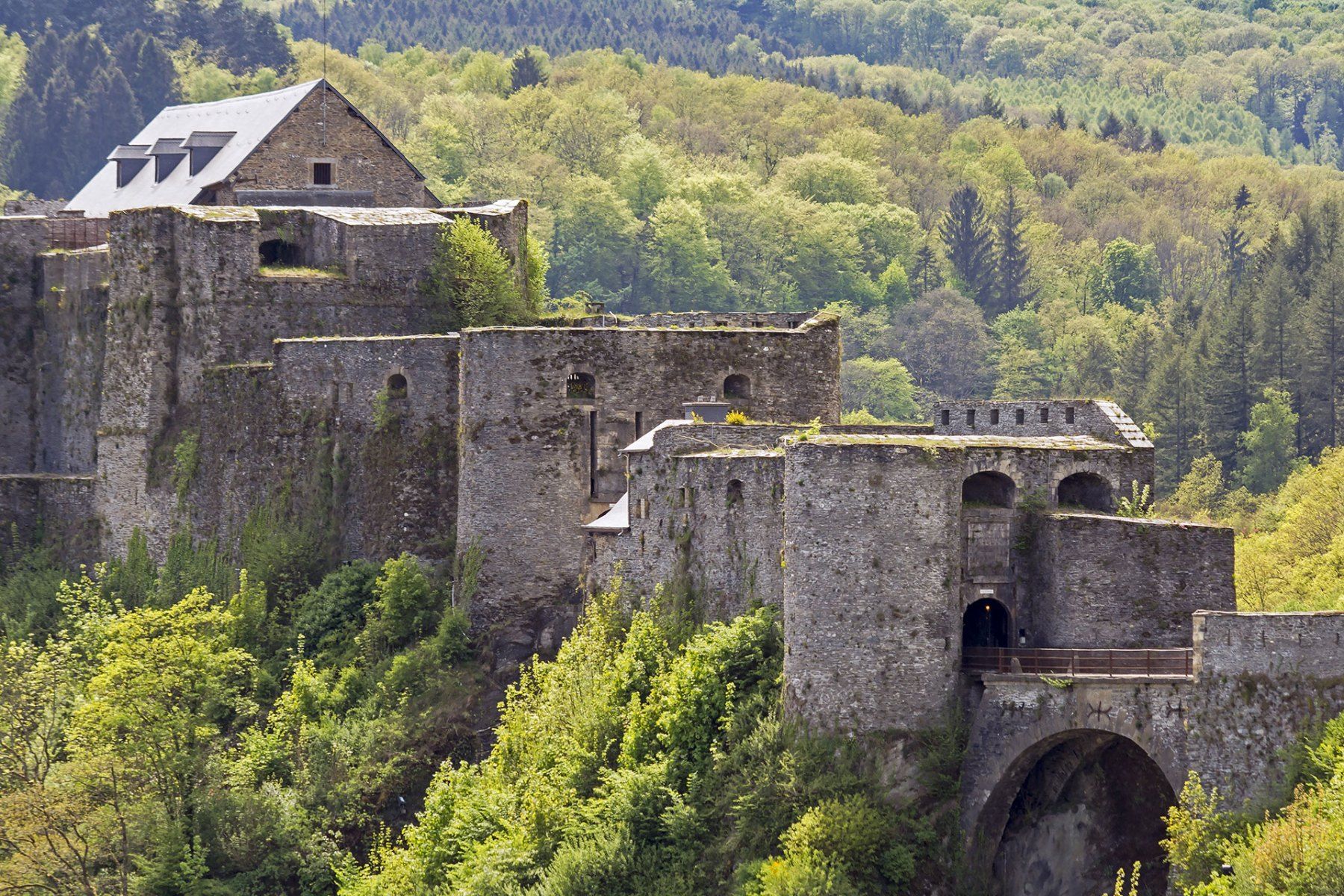 Bouillon